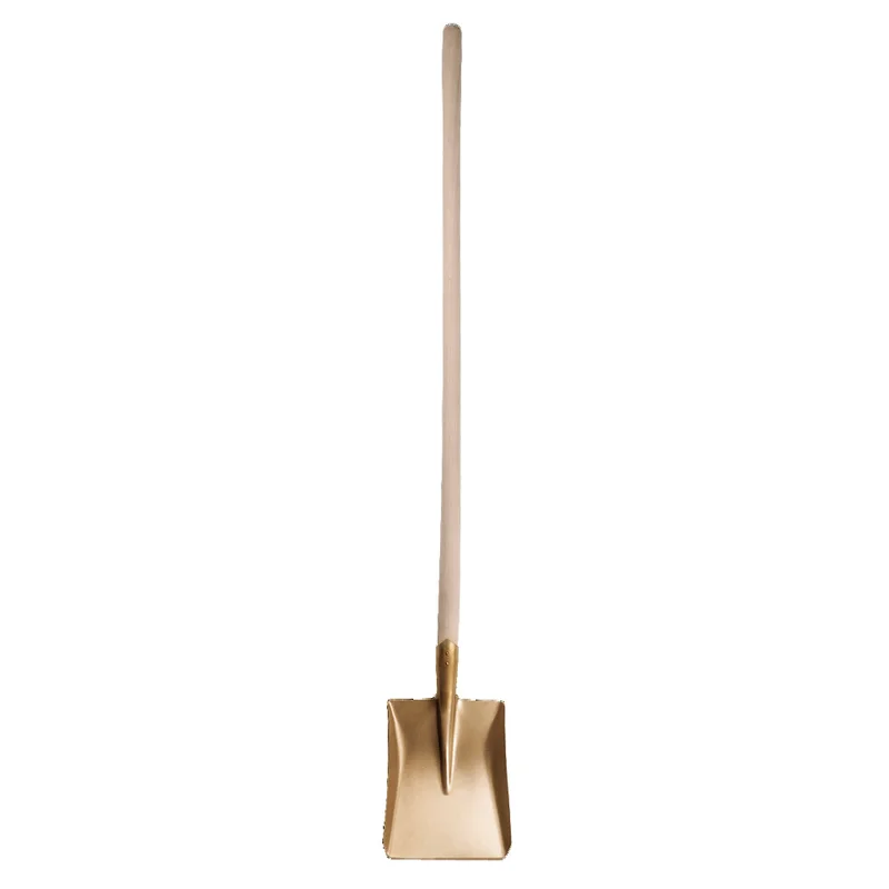 shop.doenges-rs2-270145