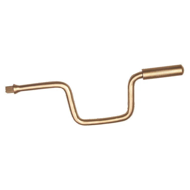 shop.doenges-rs2-271246