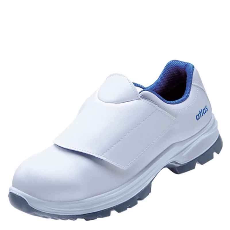 shop.doenges-rs2-278256