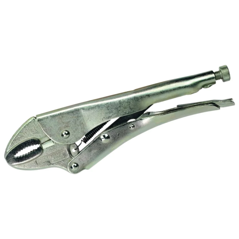 shop.doenges-rs2-279376