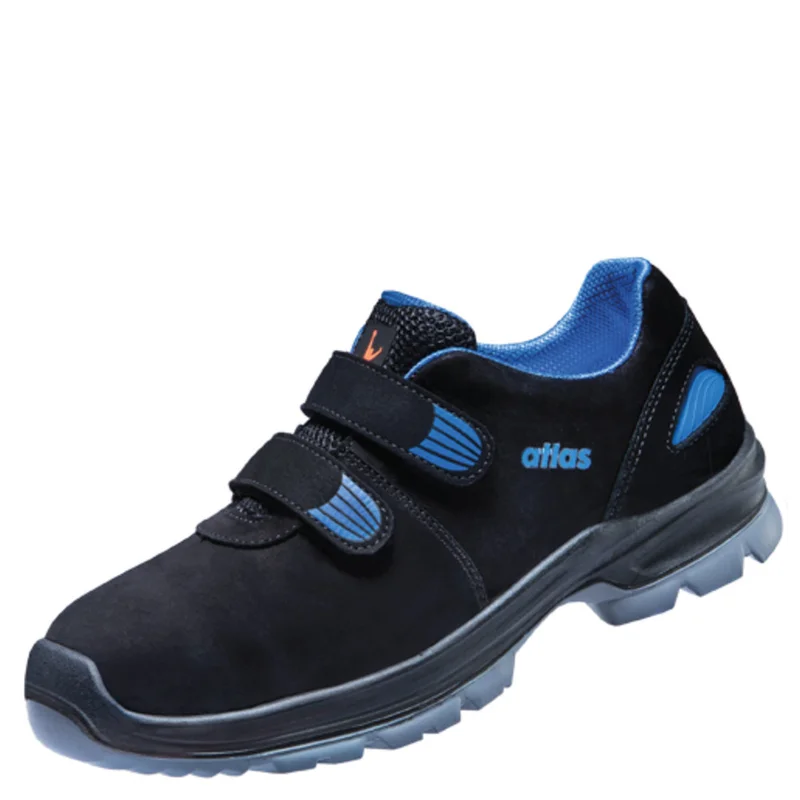 shop.doenges-rs2-279778