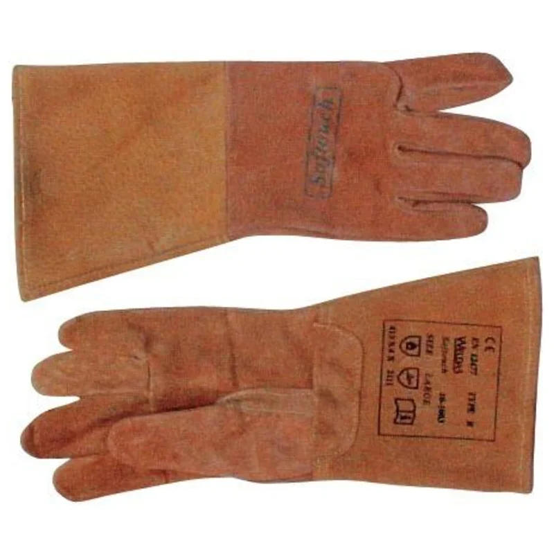 shop.doenges-rs2-280882