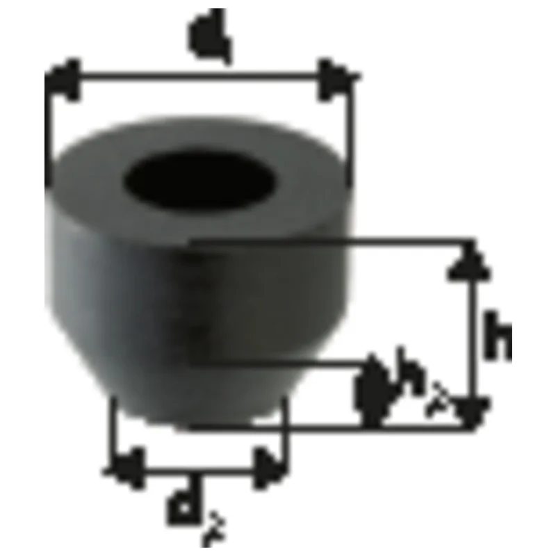 shop.doenges-rs2-280955