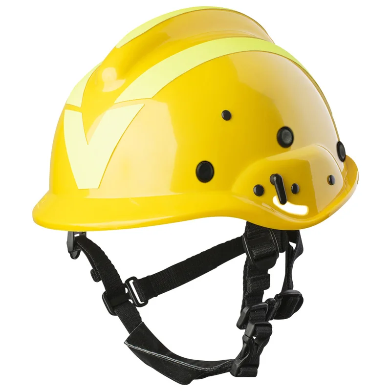 shop.doenges-rs2-283543