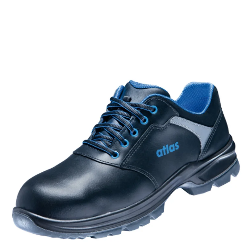 shop.doenges-rs2-286560