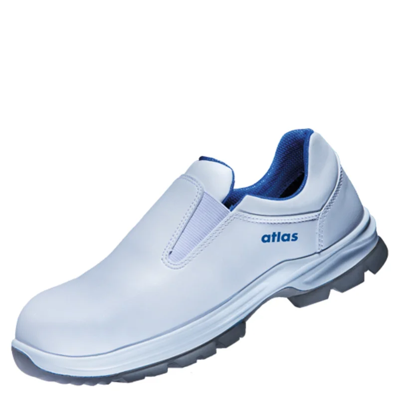 shop.doenges-rs2-287212