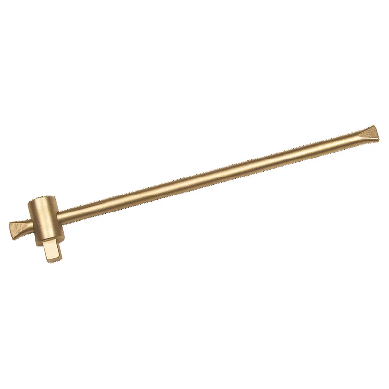 shop.doenges-rs2-287936