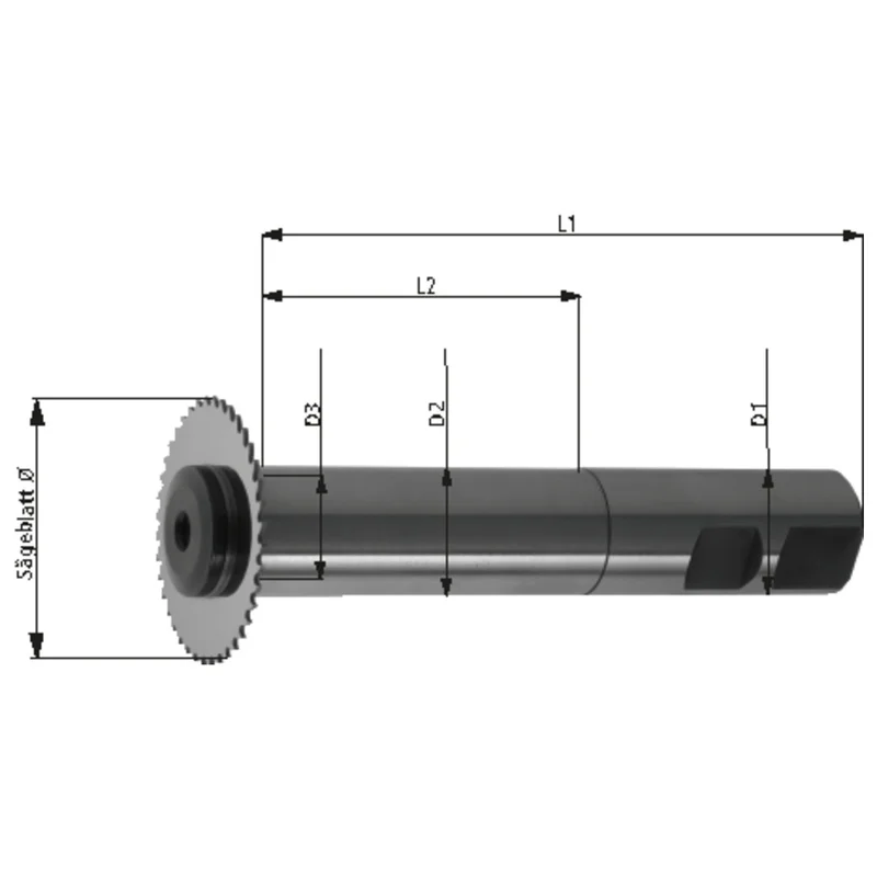 shop.doenges-rs2-289888