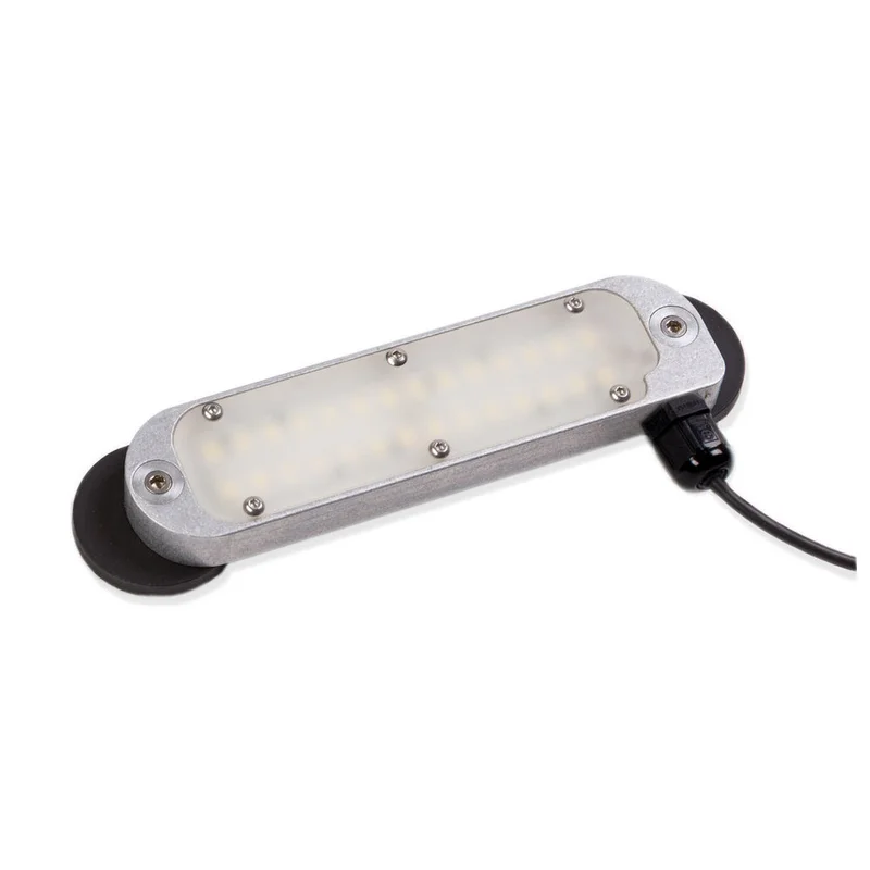 shop.doenges-rs2-290232