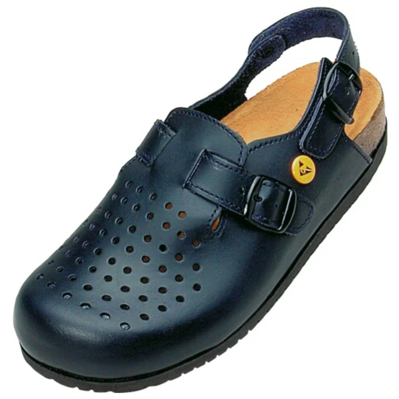 shop.doenges-rs2-290588