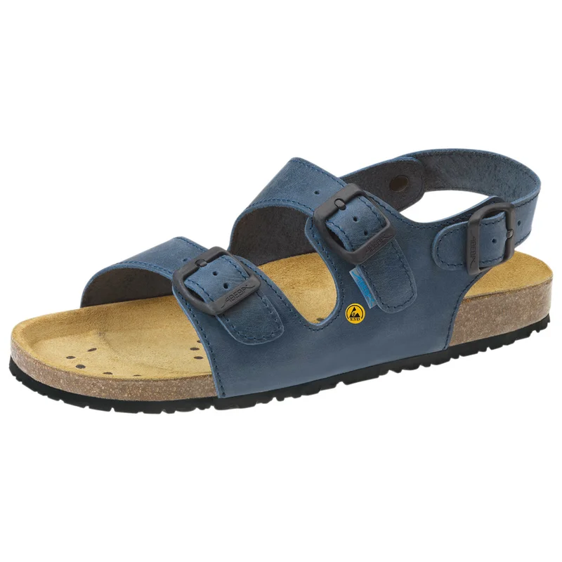 shop.doenges-rs2-290609