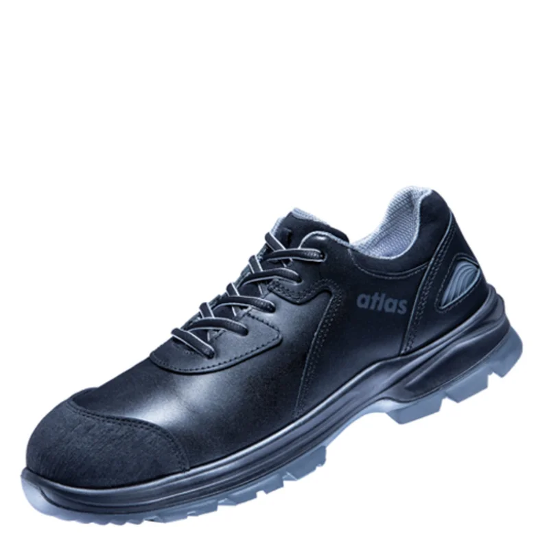 shop.doenges-rs2-290756