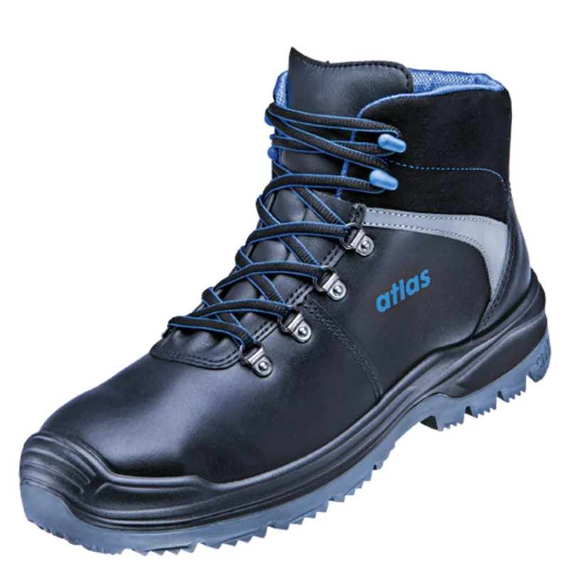 shop.doenges-rs2-291246