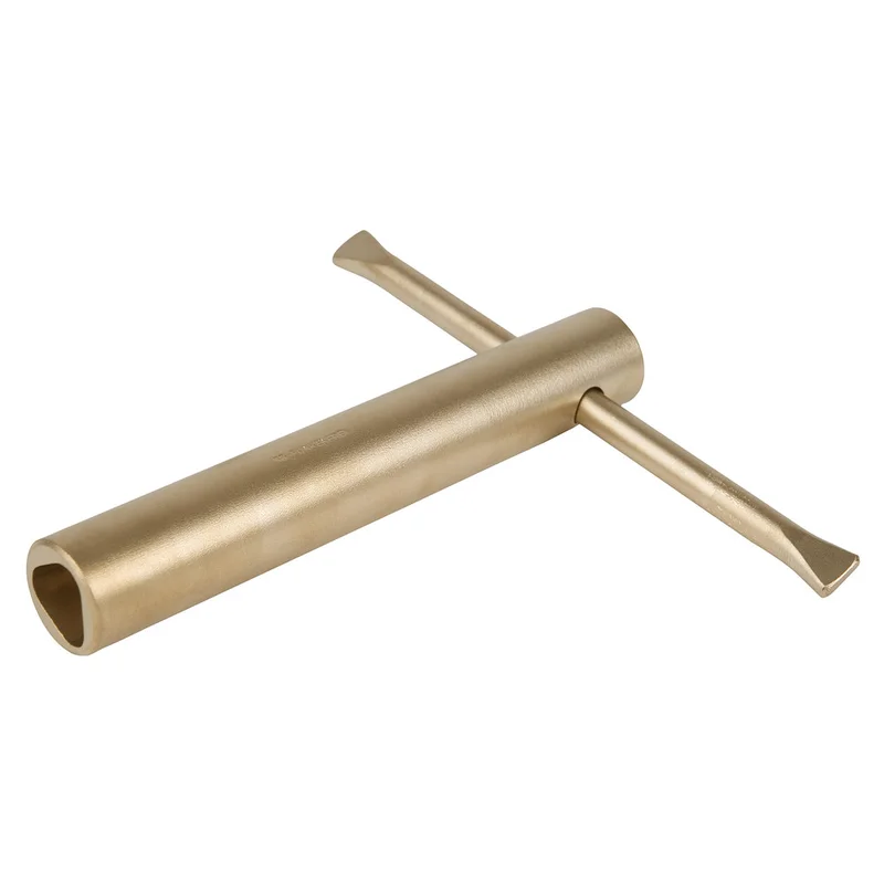 shop.doenges-rs2-293867
