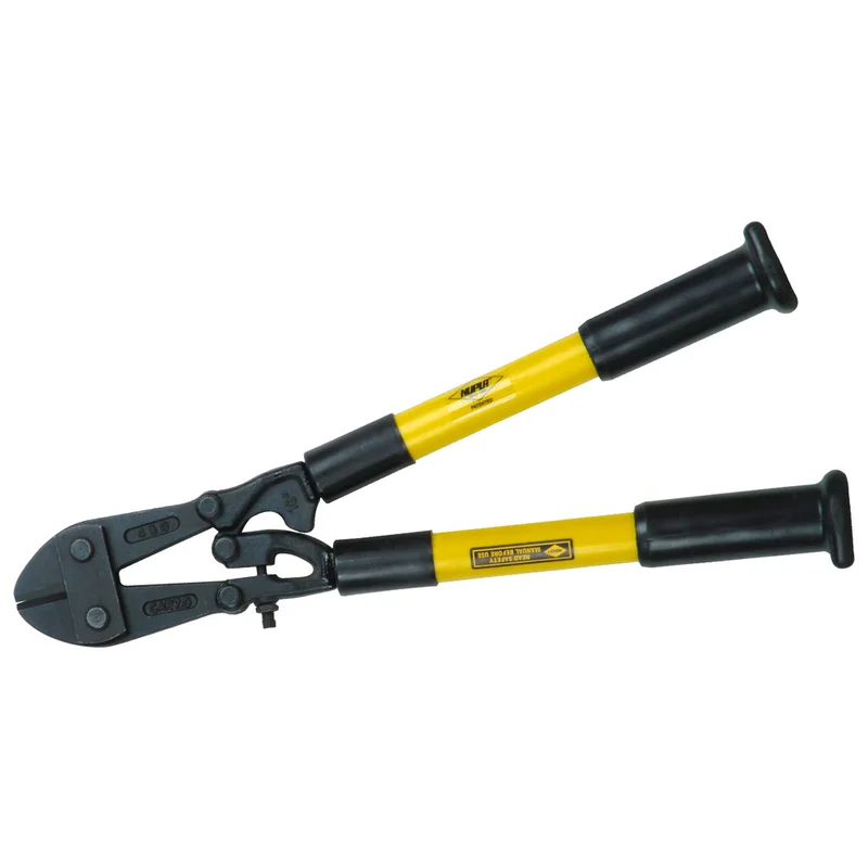 shop.doenges-rs2-297889