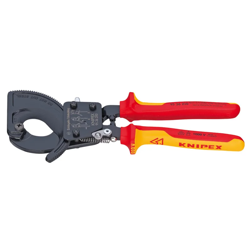 shop.doenges-rs2-298726