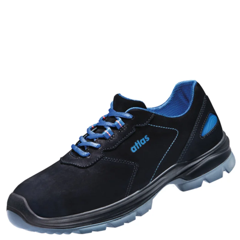shop.doenges-rs2-299963