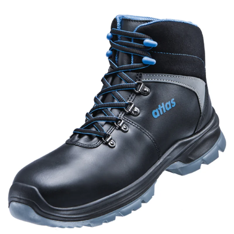 shop.doenges-rs2-300105