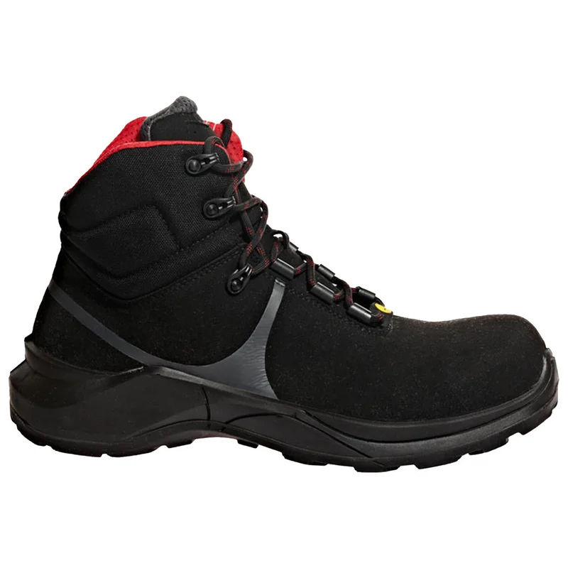 shop.doenges-rs2-301660