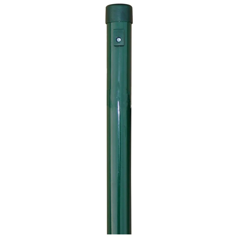 shop.doenges-rs2-342098