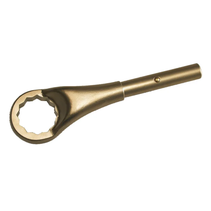 shop.doenges-rs2-353413