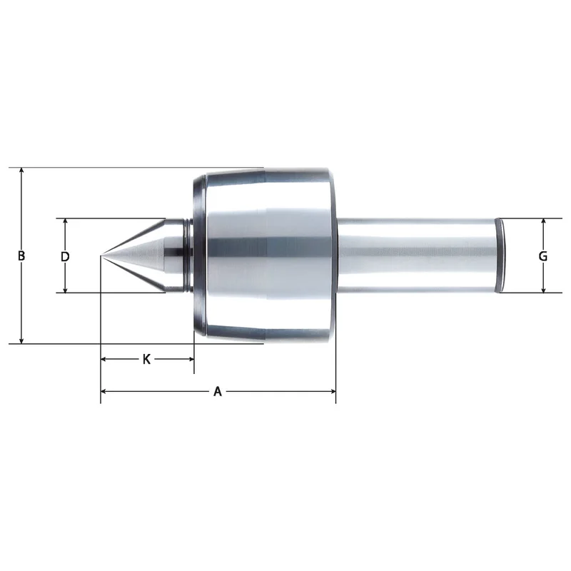 shop.doenges-rs2-362396
