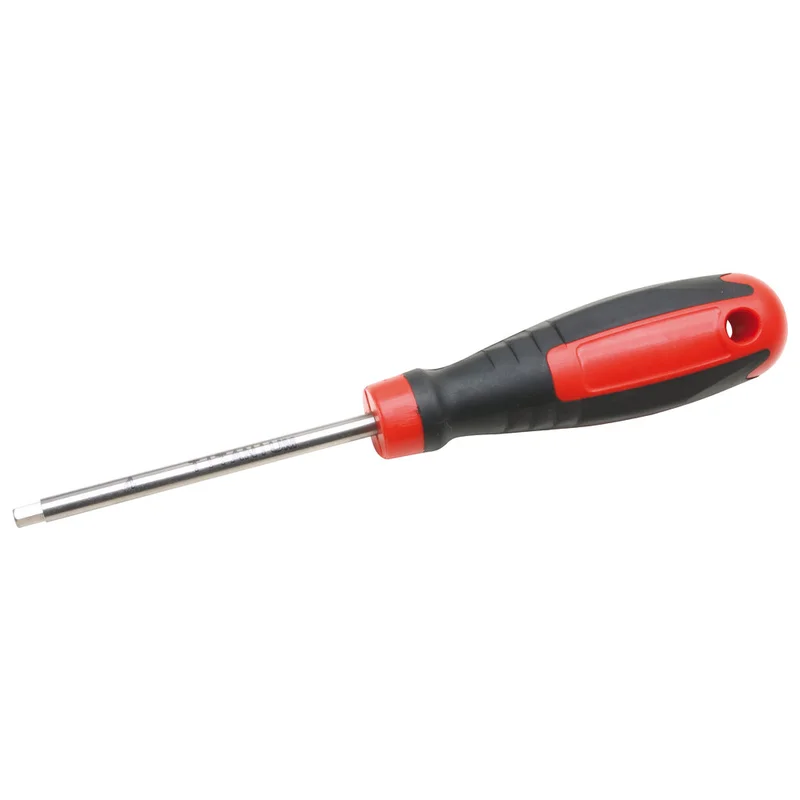shop.doenges-rs2-372712