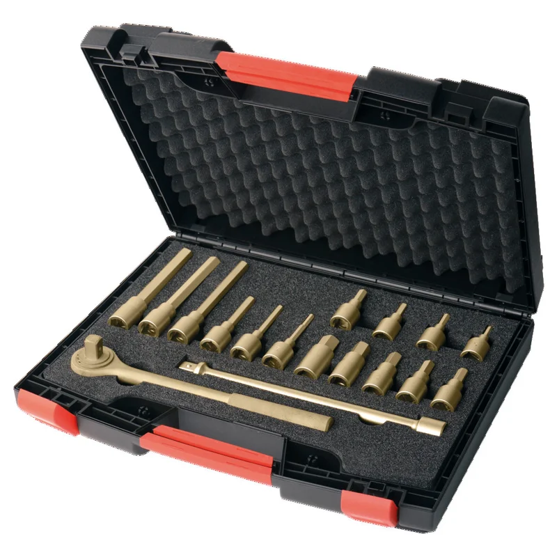 shop.doenges-rs2-388570