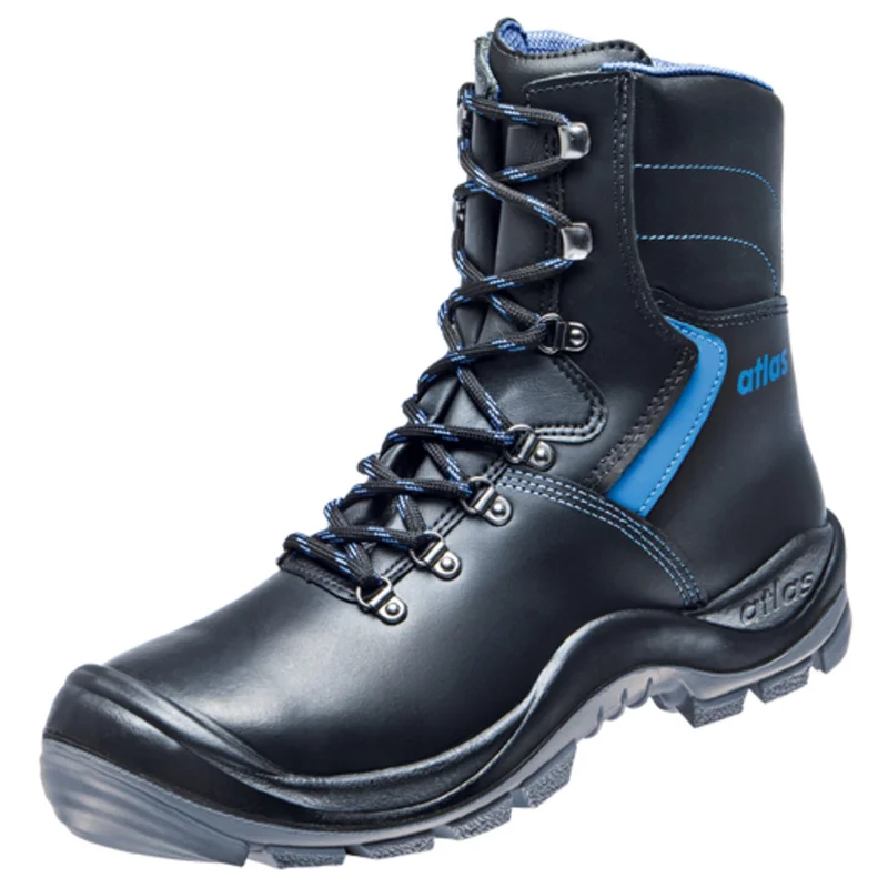 shop.doenges-rs2-389473
