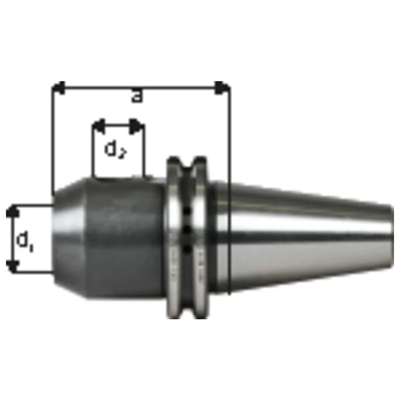 shop.doenges-rs2-389503
