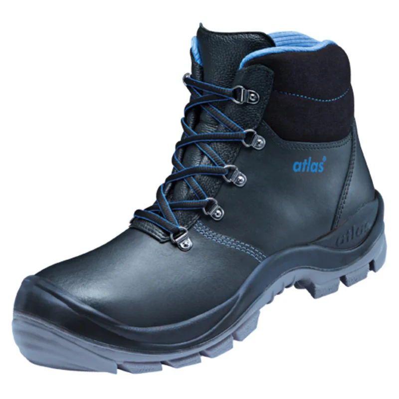 shop.doenges-rs2-390627