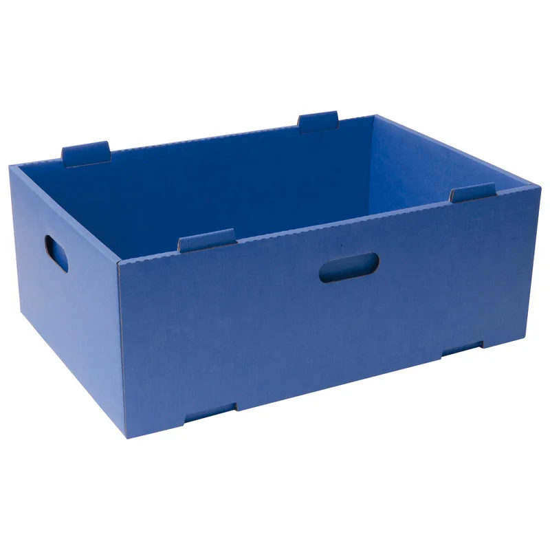 shop.doenges-rs2-390654