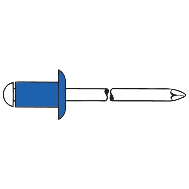 shop.doenges-rs2-393748