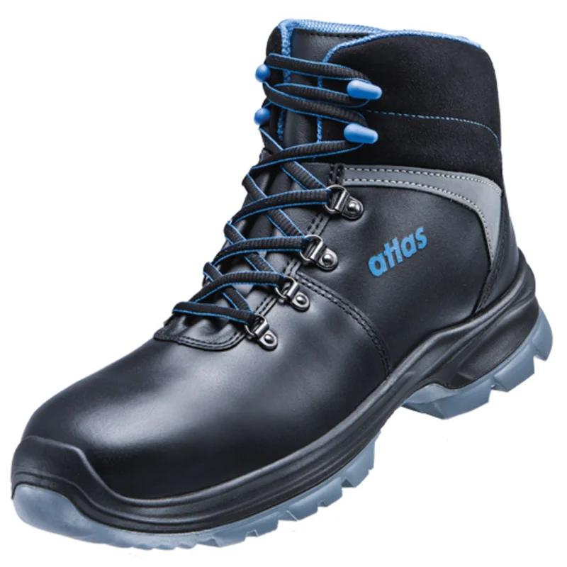 shop.doenges-rs2-395267