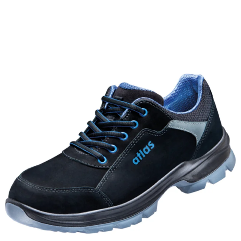 shop.doenges-rs2-395481