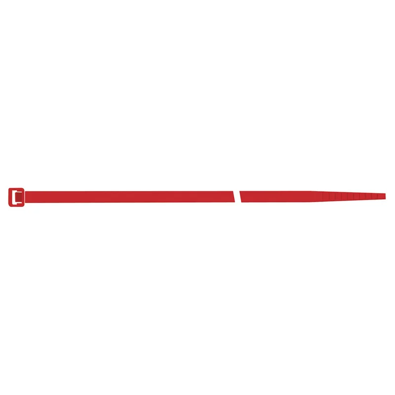 shop.doenges-rs2-400787