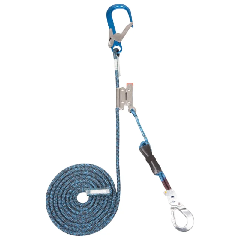 shop.doenges-rs2-401352