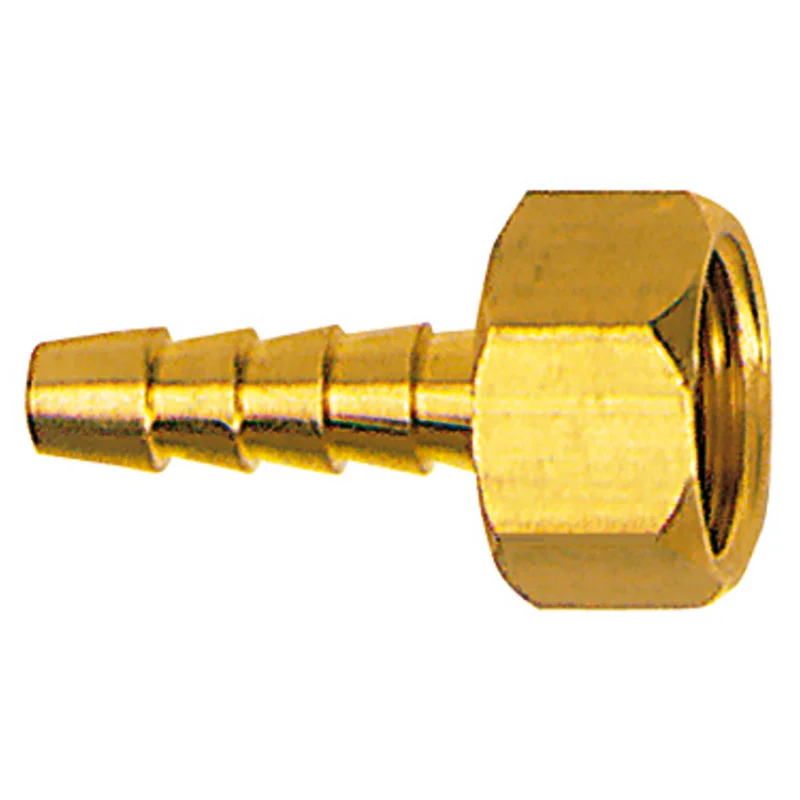 shop.doenges-rs2-402912