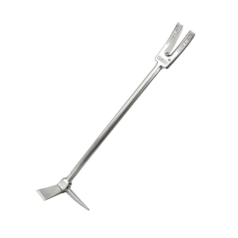 shop.doenges-rs2-403324