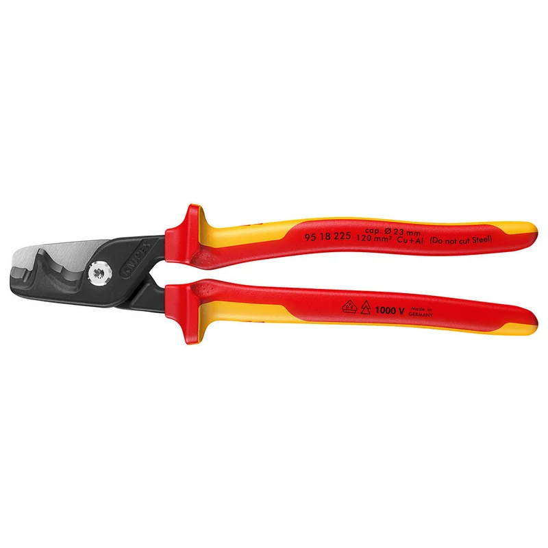shop.doenges-rs2-412957