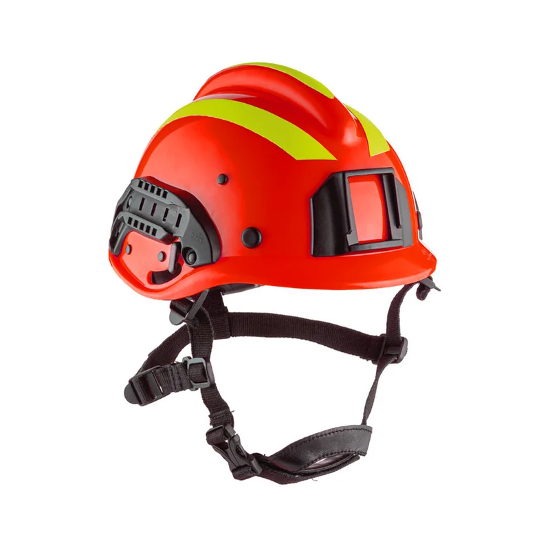 shop.doenges-rs2-421385