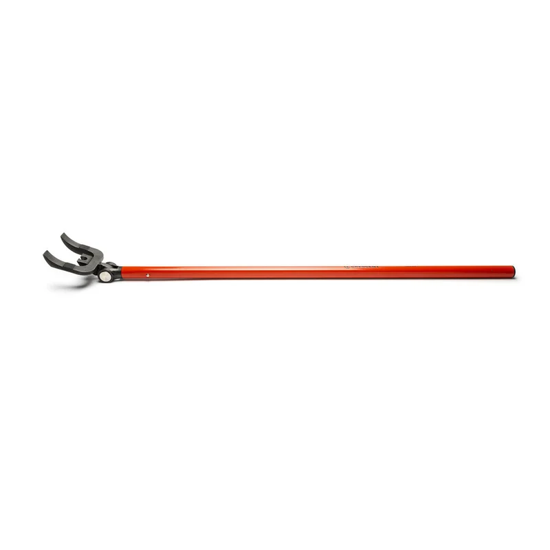 shop.doenges-rs2-428858
