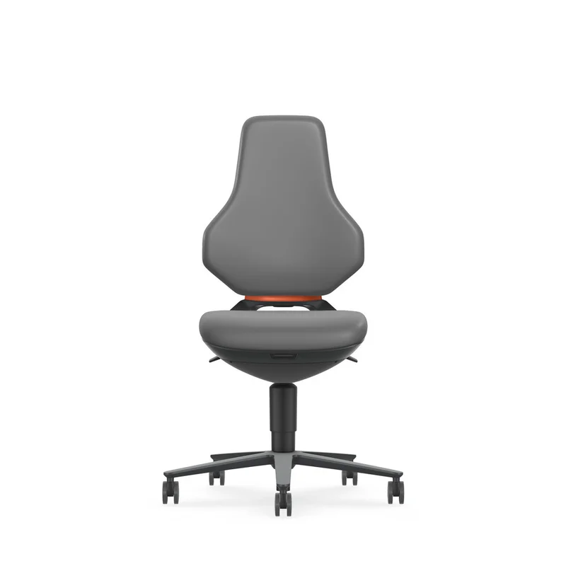 shop.doenges-rs2-430385