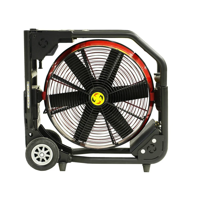 shop.doenges-rs2-434516