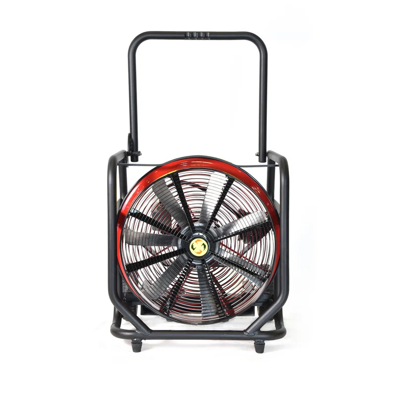 shop.doenges-rs2-434807
