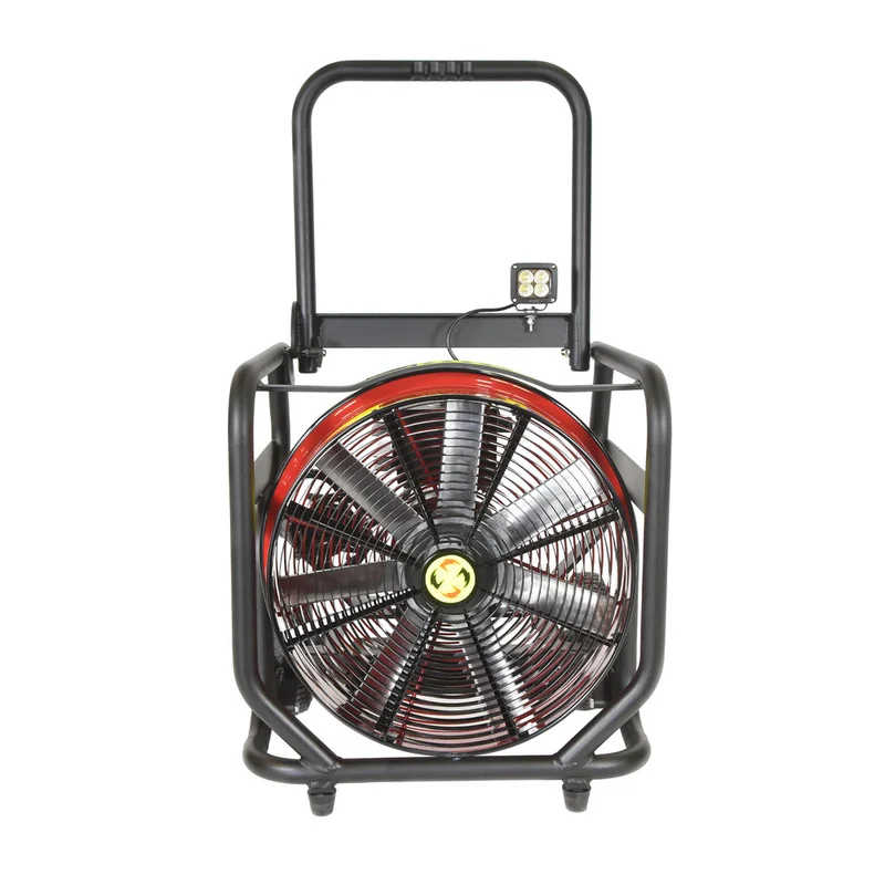 shop.doenges-rs2-434813