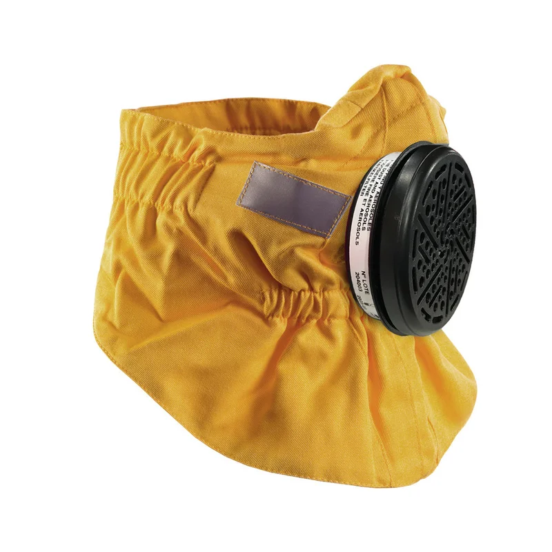 shop.doenges-rs2-434854