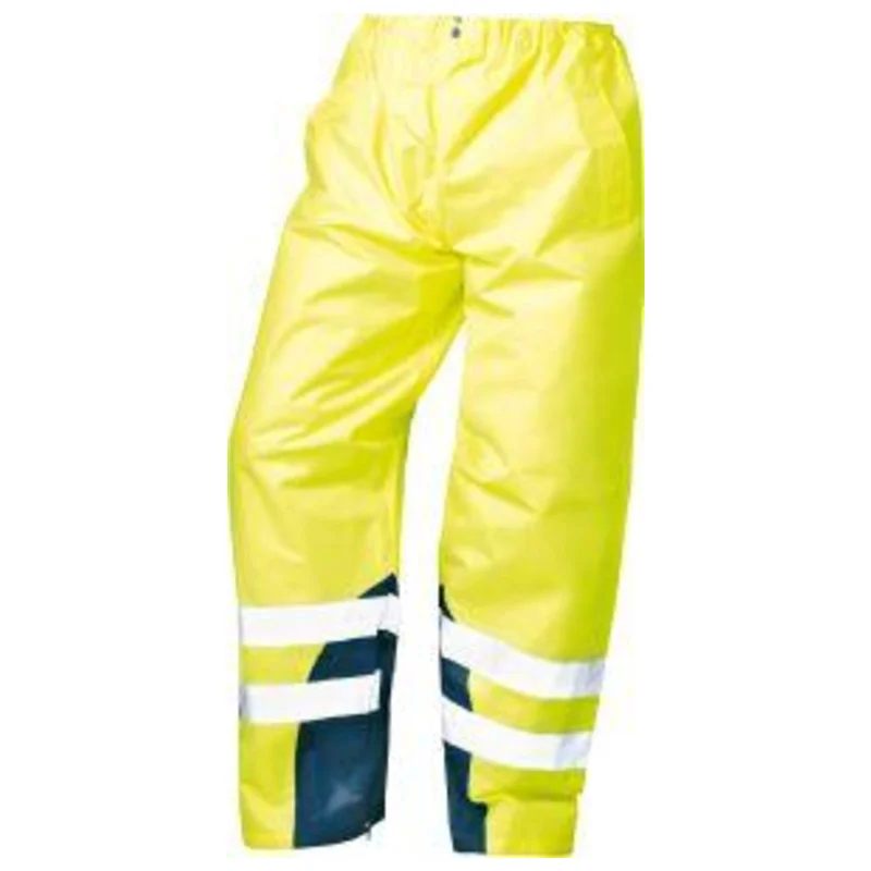 shop.doenges-rs2-438328