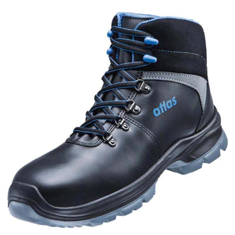shop.doenges-rs2-442154